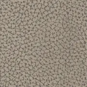 Toro - 23 - cappuccino